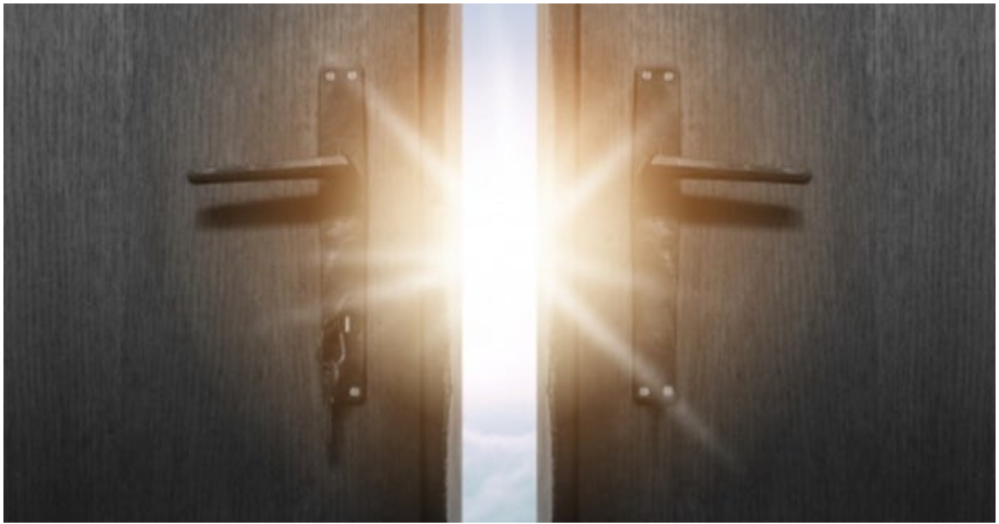 どうして財布奴隷になりたいんですか？