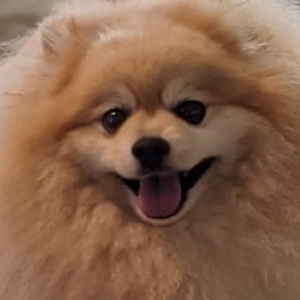 快晴