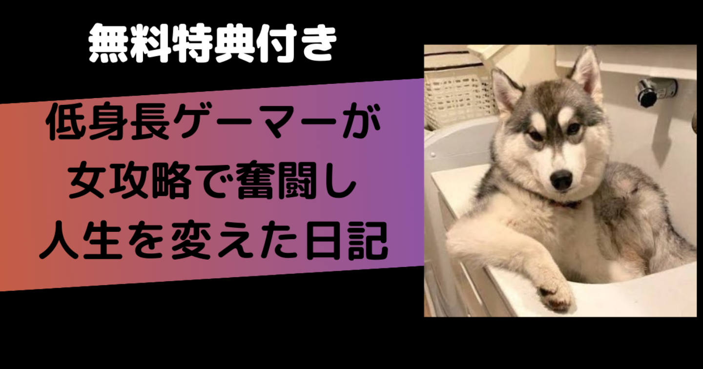 アラサー低身長口ゴボの元ゲーマーによる女攻略日記　