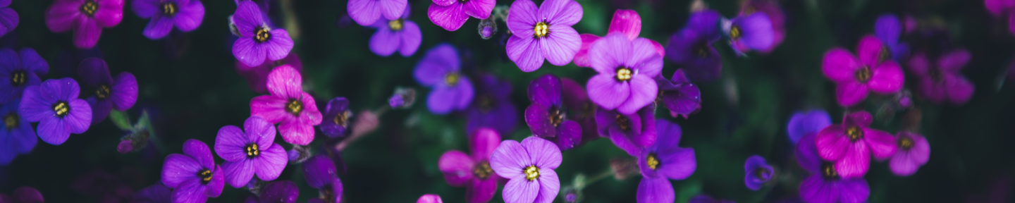 マリア＠美容✖ダイエット✖メイク✖恋愛