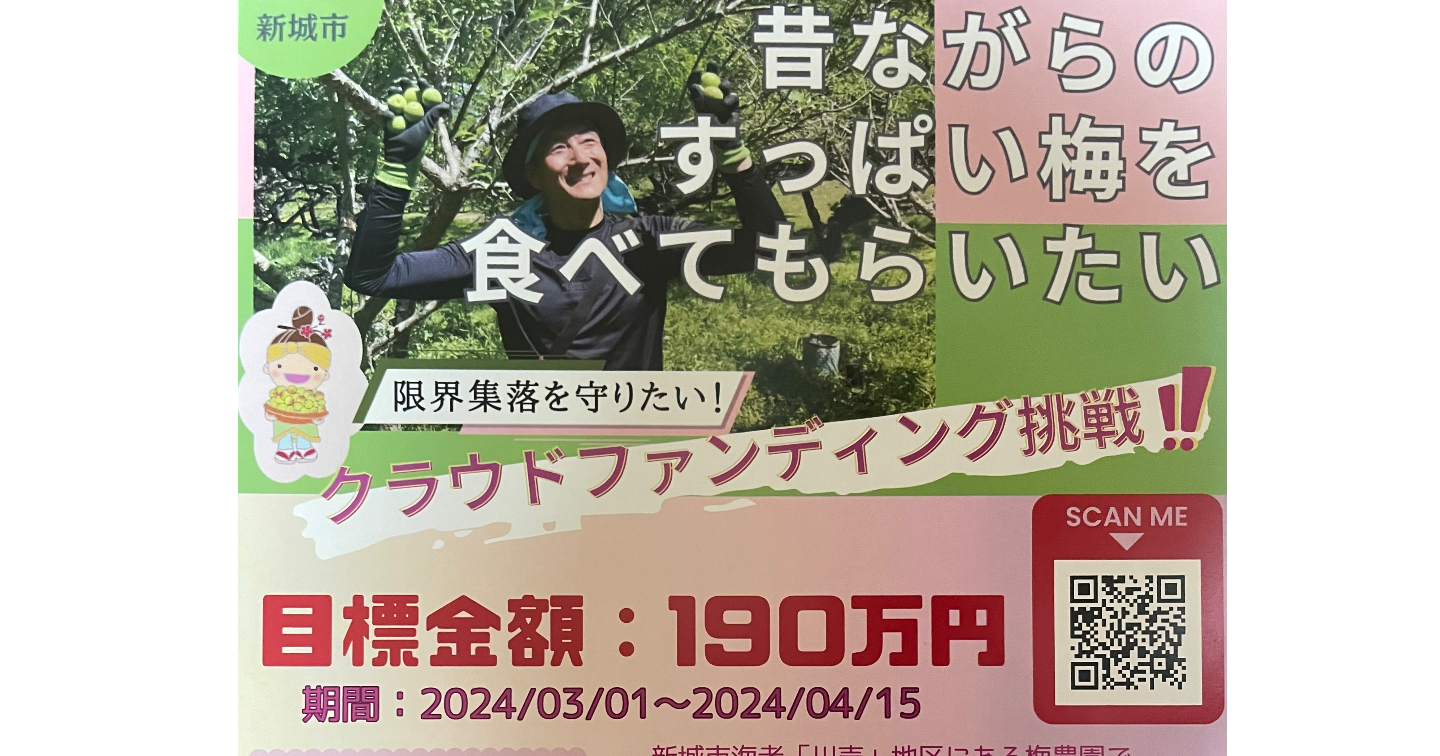 川売（かおれ）の梅
