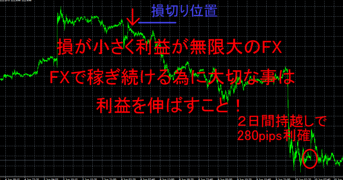 損が小さく利益が無限大のFX