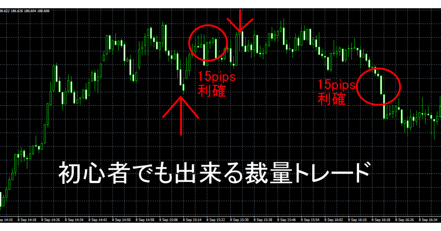 初心者でも出来る裁量トレード