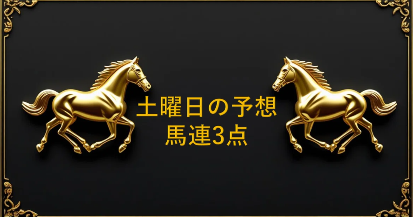 中京競馬予想 本当にこれだけの馬連３点 2025/8/16 中京の午後のとあるレース予想 by Jet