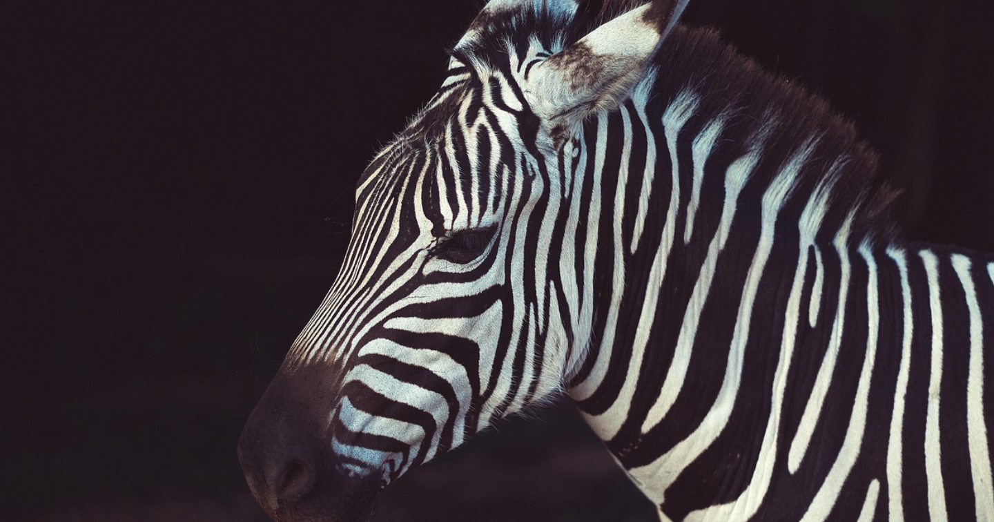 【もう商品が売れないって悩ませない】売れるnote設計図