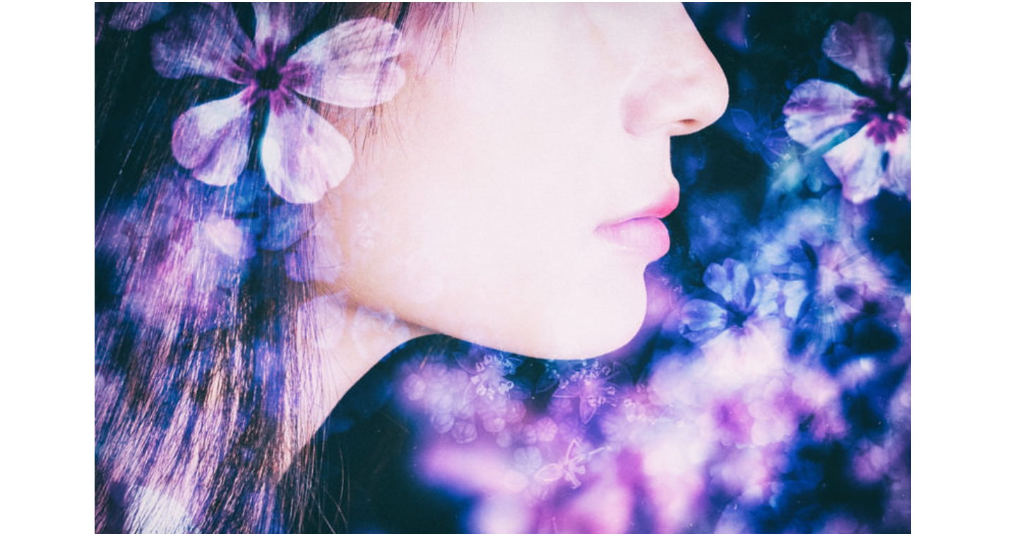 X投稿錬金術 - 初心者が月3万円を「ズルい仕組み」で回収する禁断メソッド