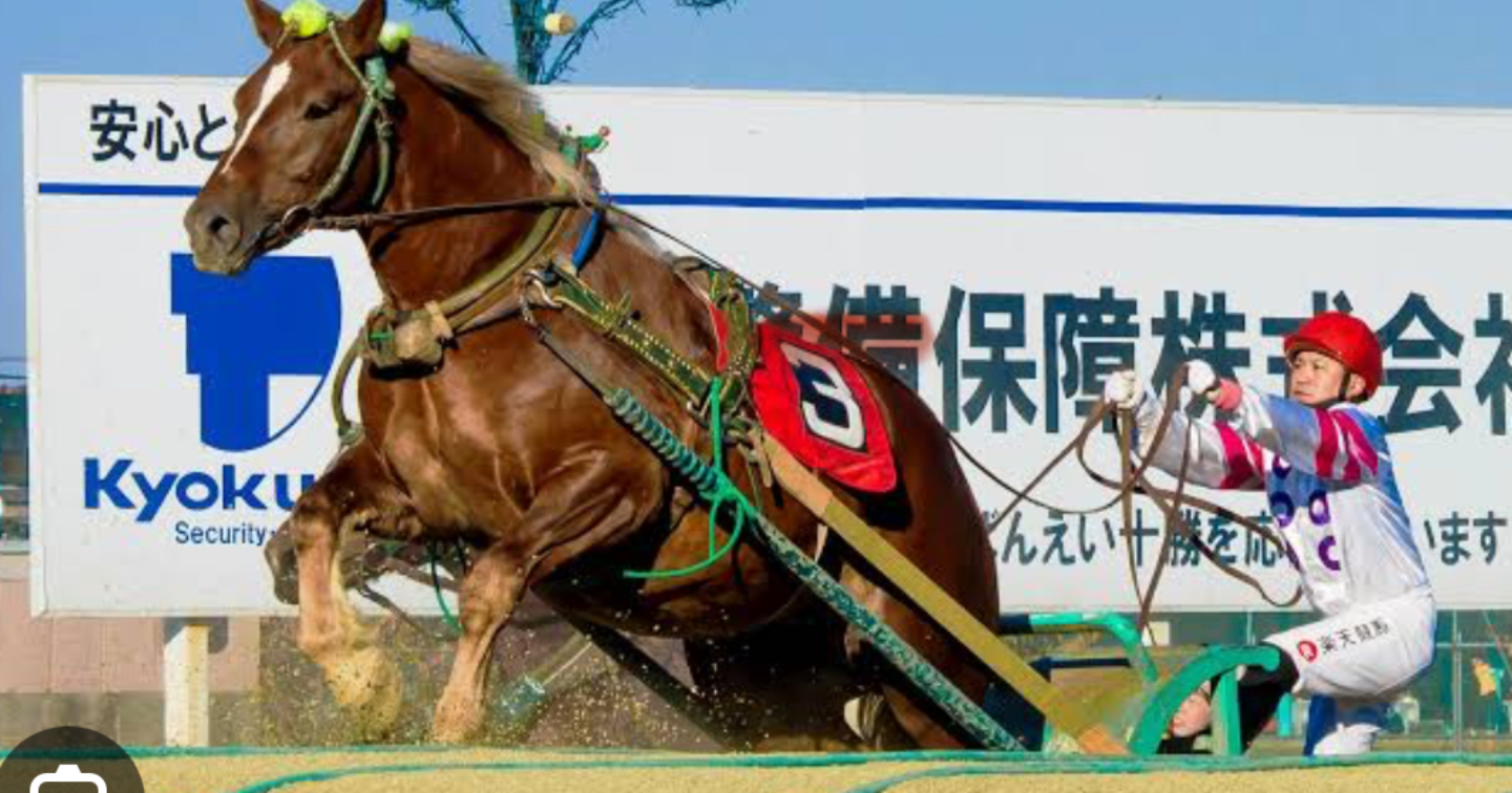 11/1 ばんえい競馬予想1.2.3R