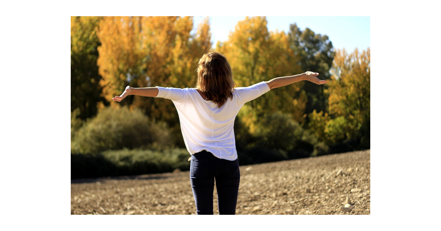 がんばらない人が、いちばん結果を出す理由