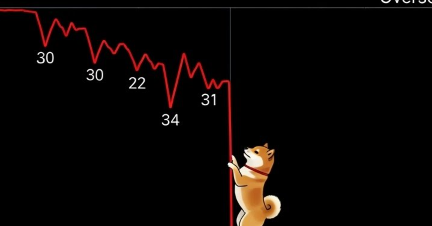 【衝撃】ドージコイン急落の裏に隠された『100倍チャンス』！？富を掴む3つの視点