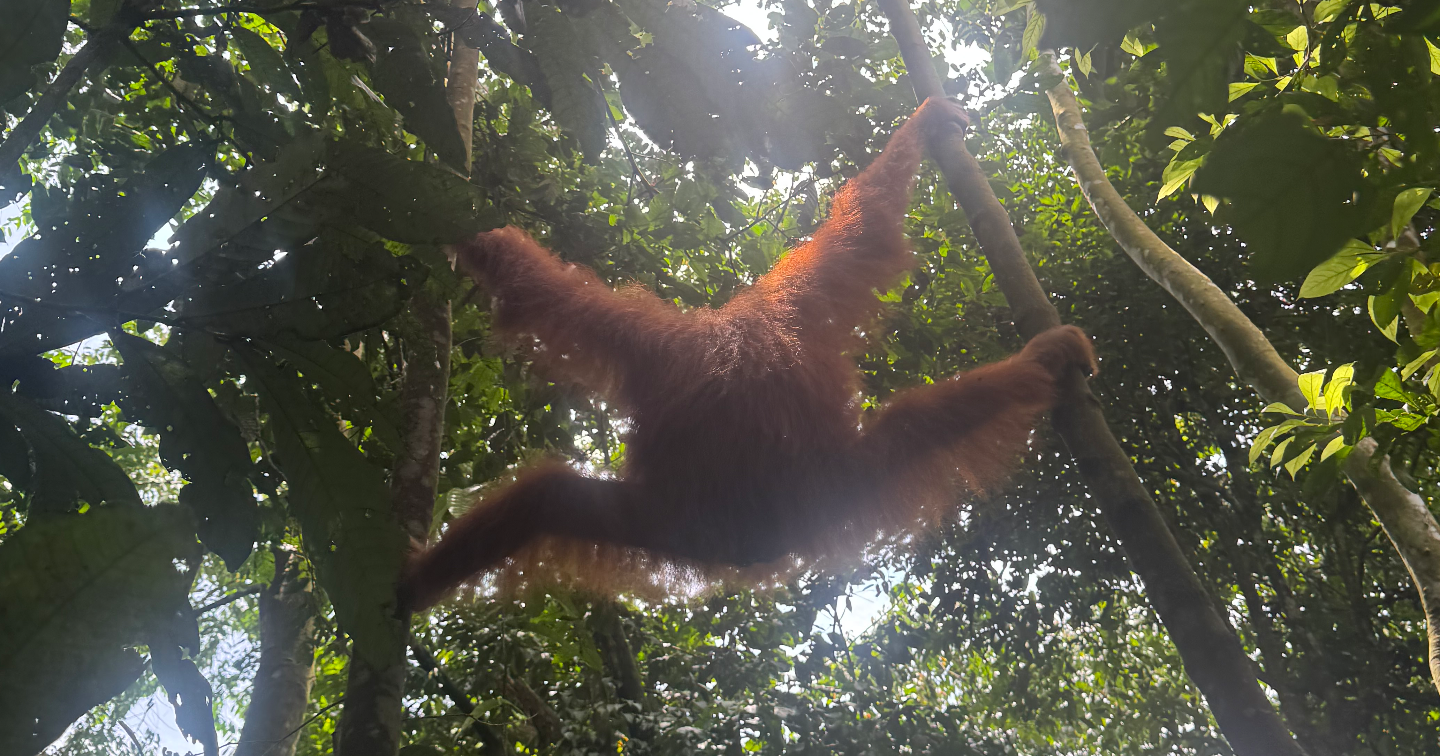 「わくわく力」が人生を決める。