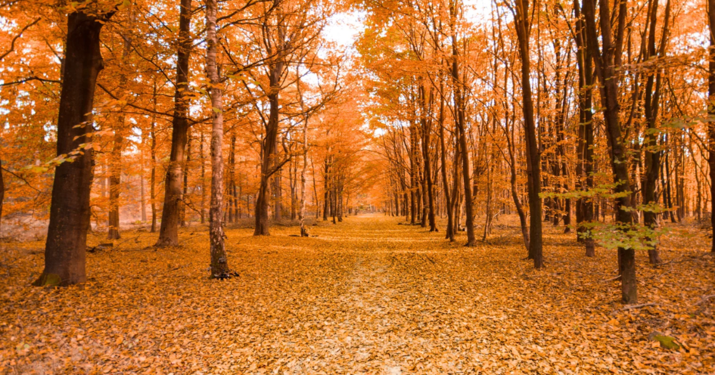 「女性の感度は“温度”で育つ。身体を愛し直すということ」