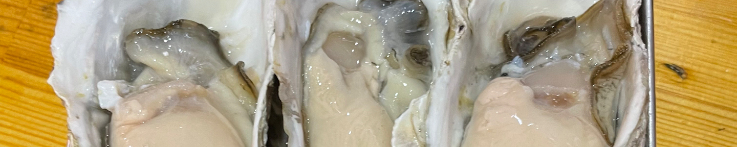 Rein@スタナン/ネトナン依存症