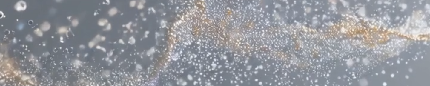 ナカハラ | 精密栄養カウンセラー