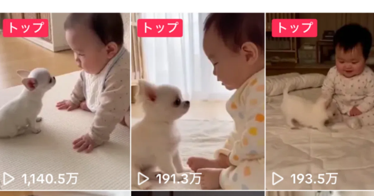 AI動画で2週間で1万フォロワー、tiktokで1,000万再生を達成した方法