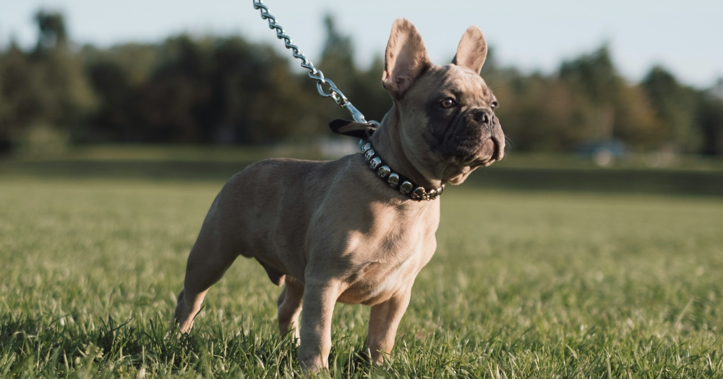 べき論を捨てると、生きるのが楽になる話。