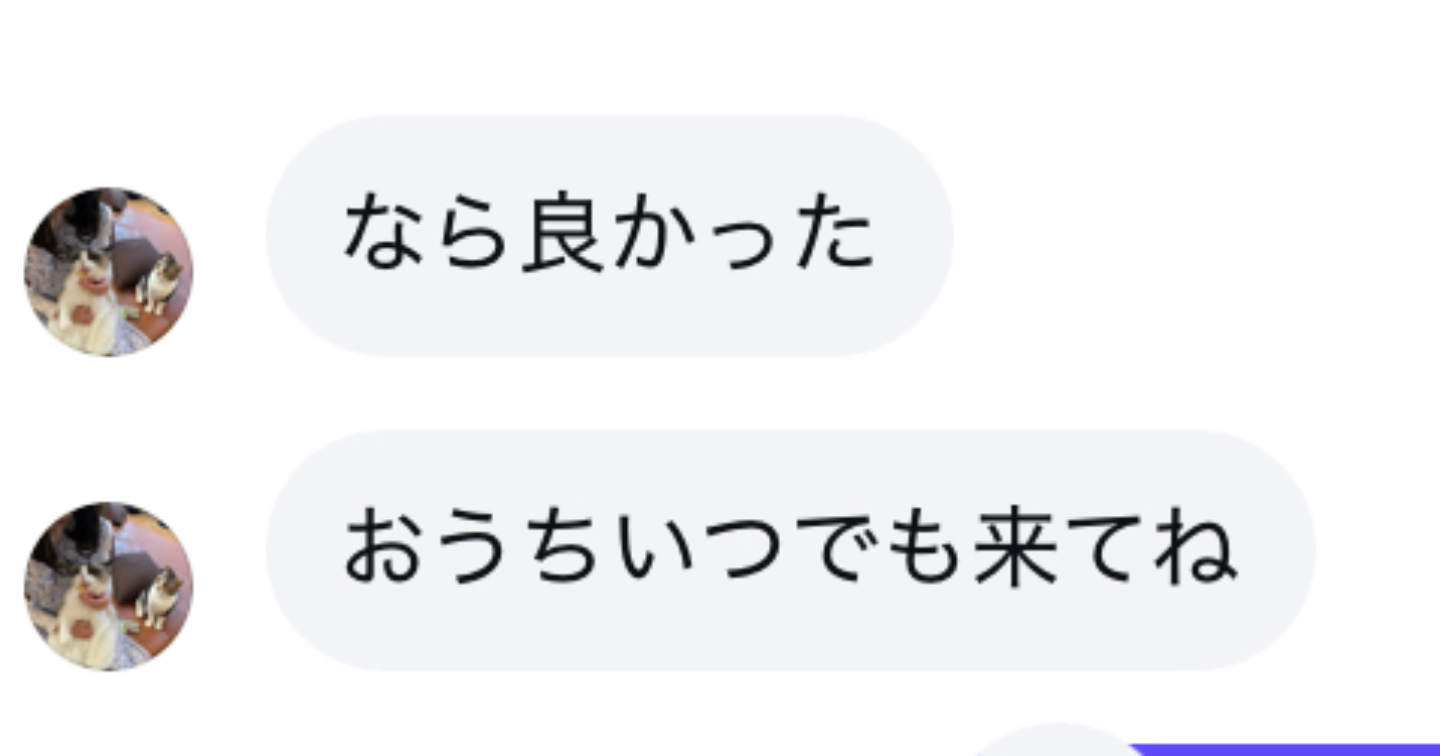 【再現性MAX】これだけ見とけば無双できる！マッチングアプリ完全攻略