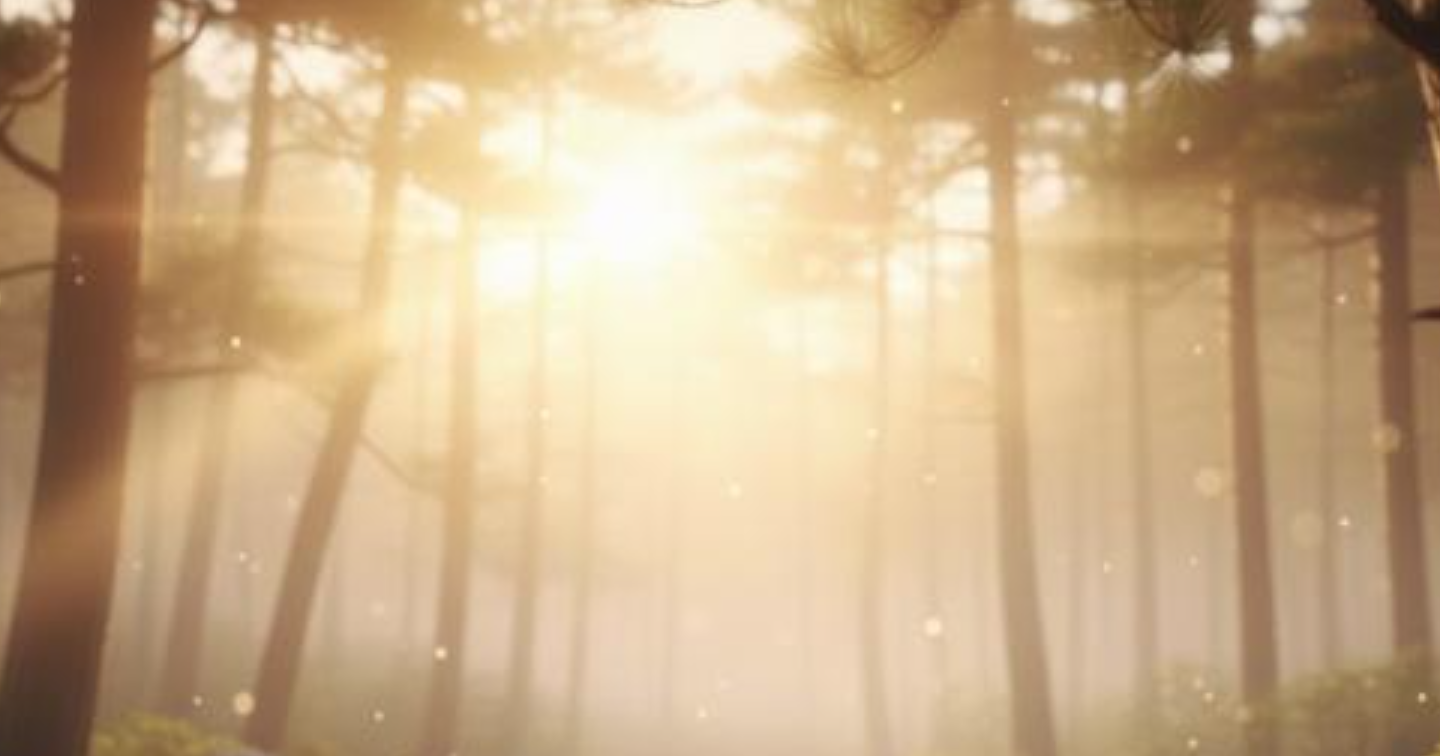 【保存版】年始の振る舞いで一年が決まる？古今東西の知恵に学ぶ「最強の開運法」