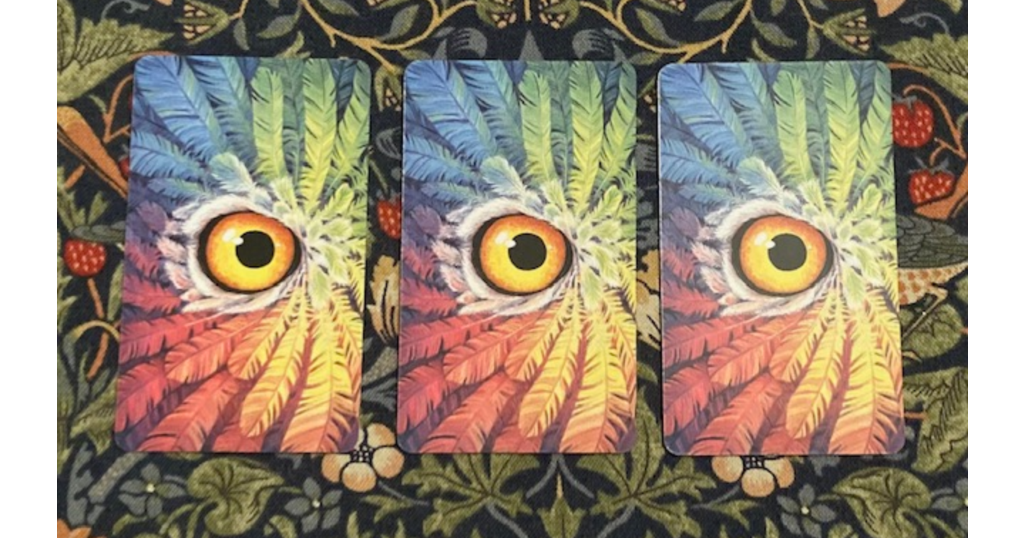 【血液型別】B型さん２０２６年はどんな年になる？