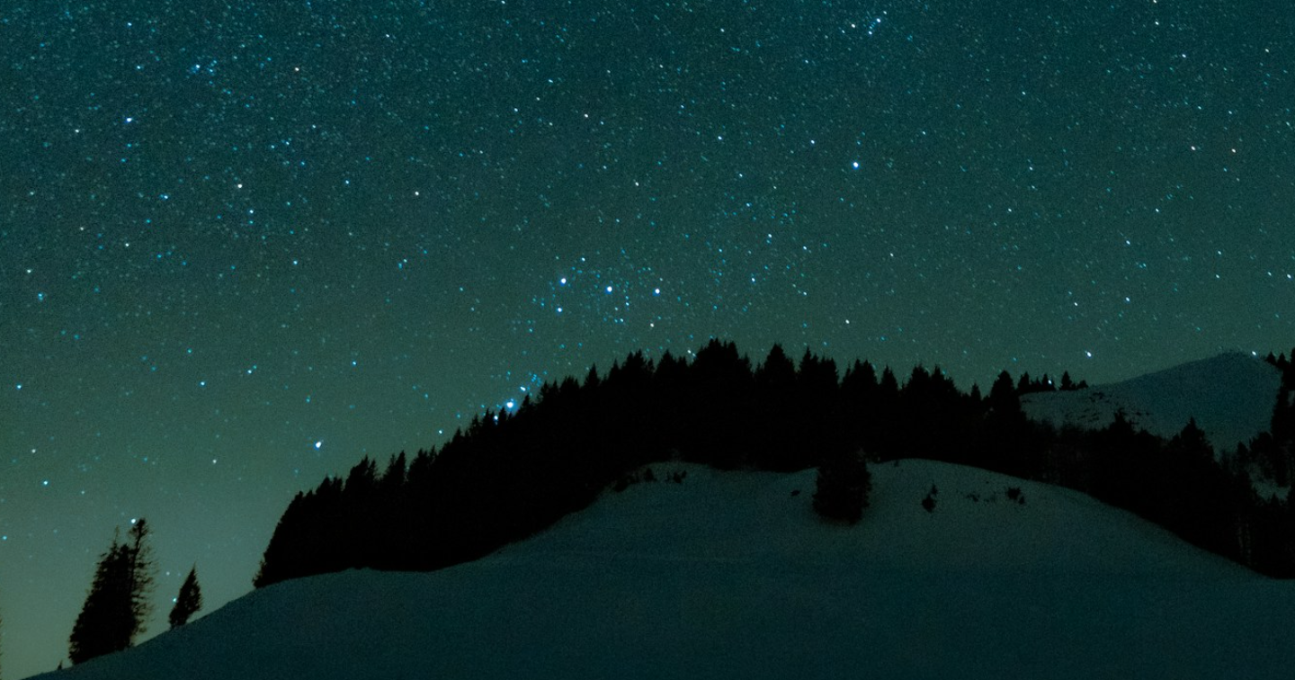 『”真冬の樹”』