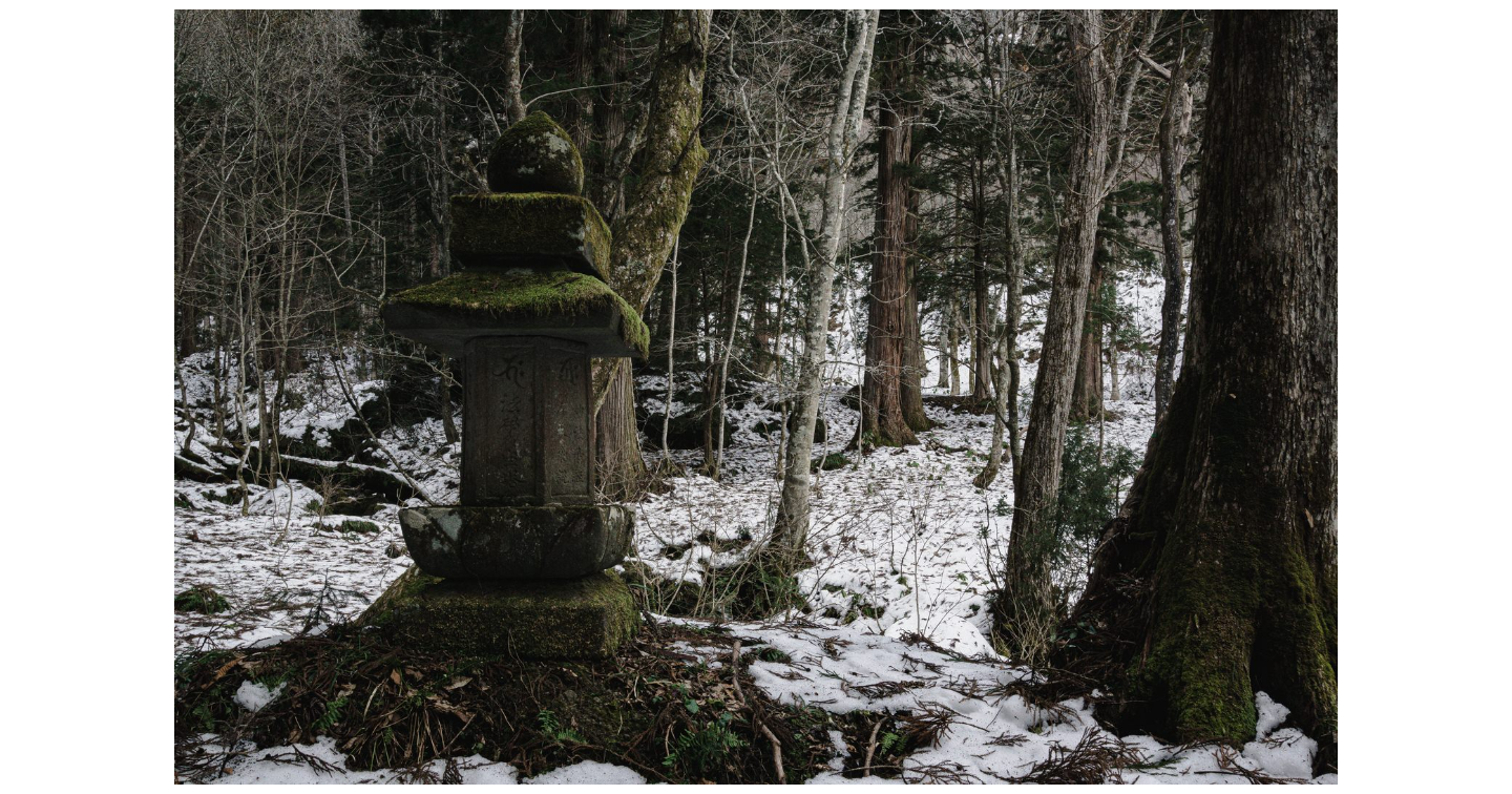 「売り込まずに選ばれ続ける」仕組みの作り方