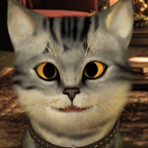 リョウヤ👑マチアプ王者👑