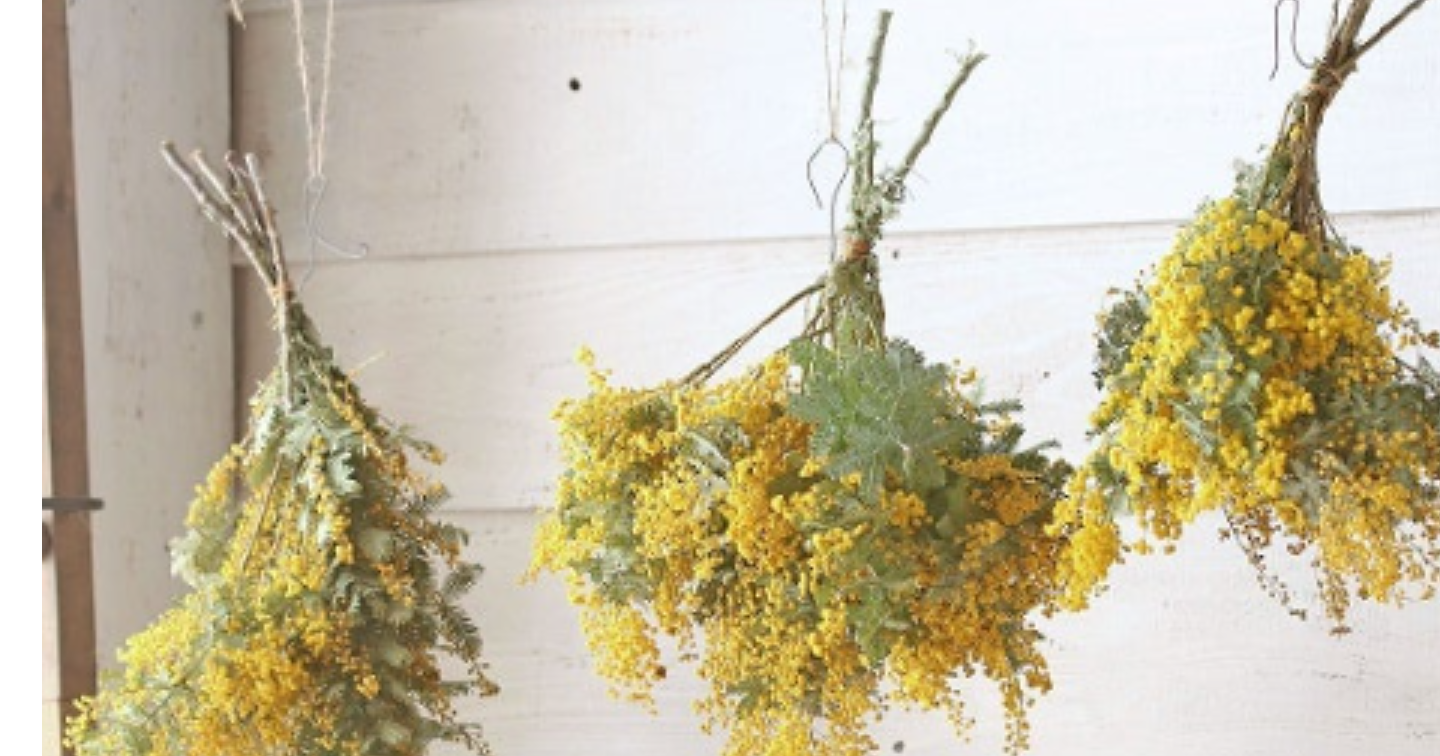 「努力しているのに報われない」と感じるあなたへ