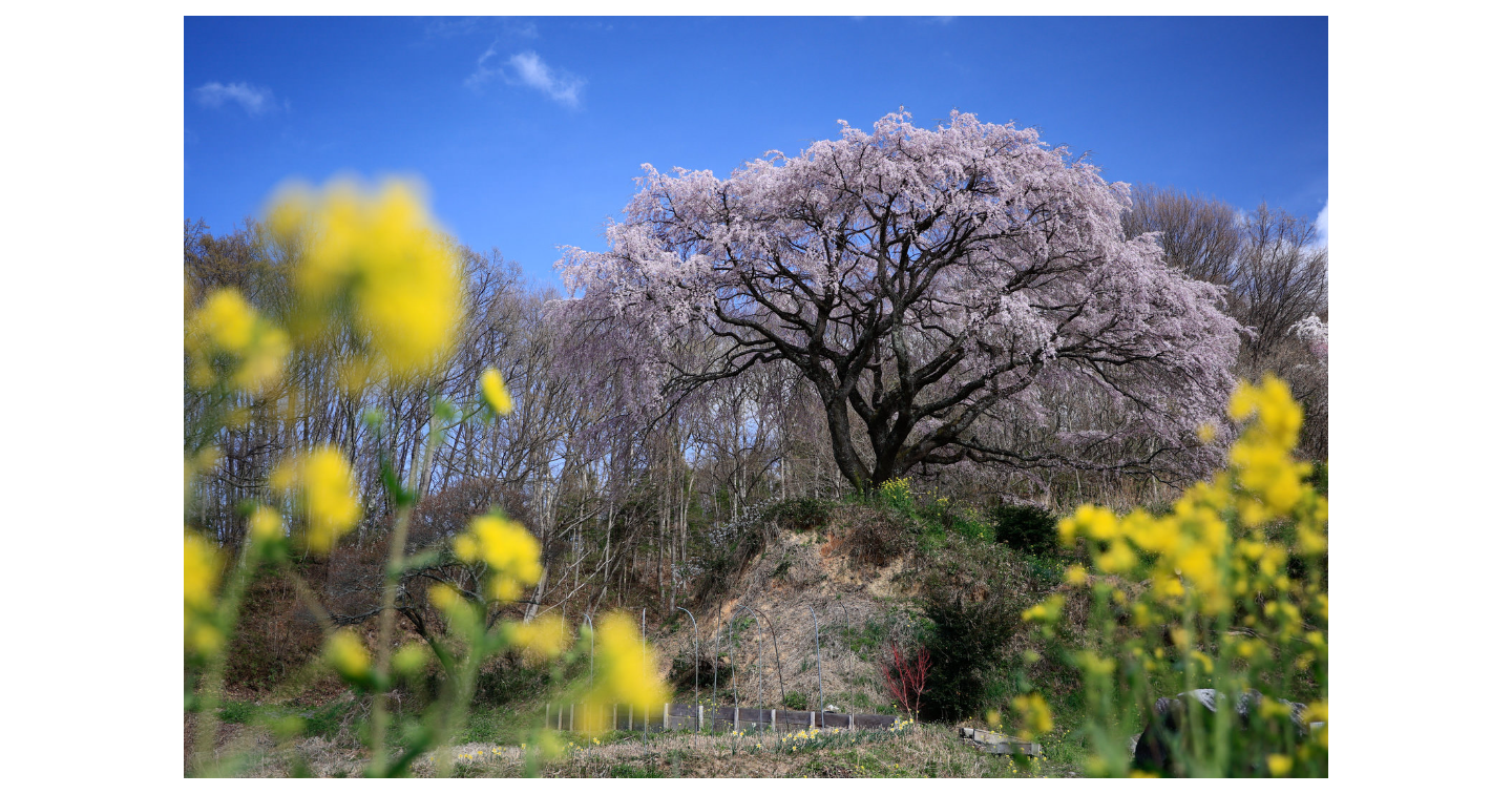 春分は「人生の流れが切り替わる日」