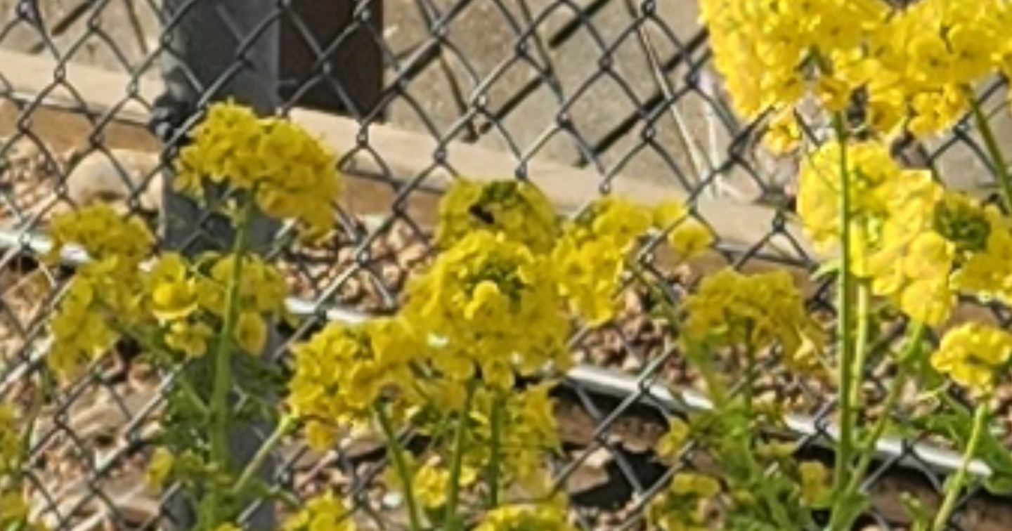 息苦しい人生を軽くする『心の脱ぎ方、しなやかに生きる方法』