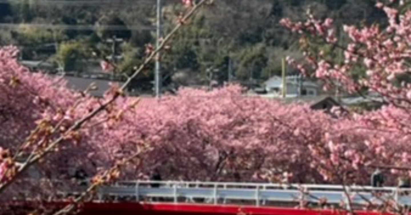 葬儀ナレーション作り方