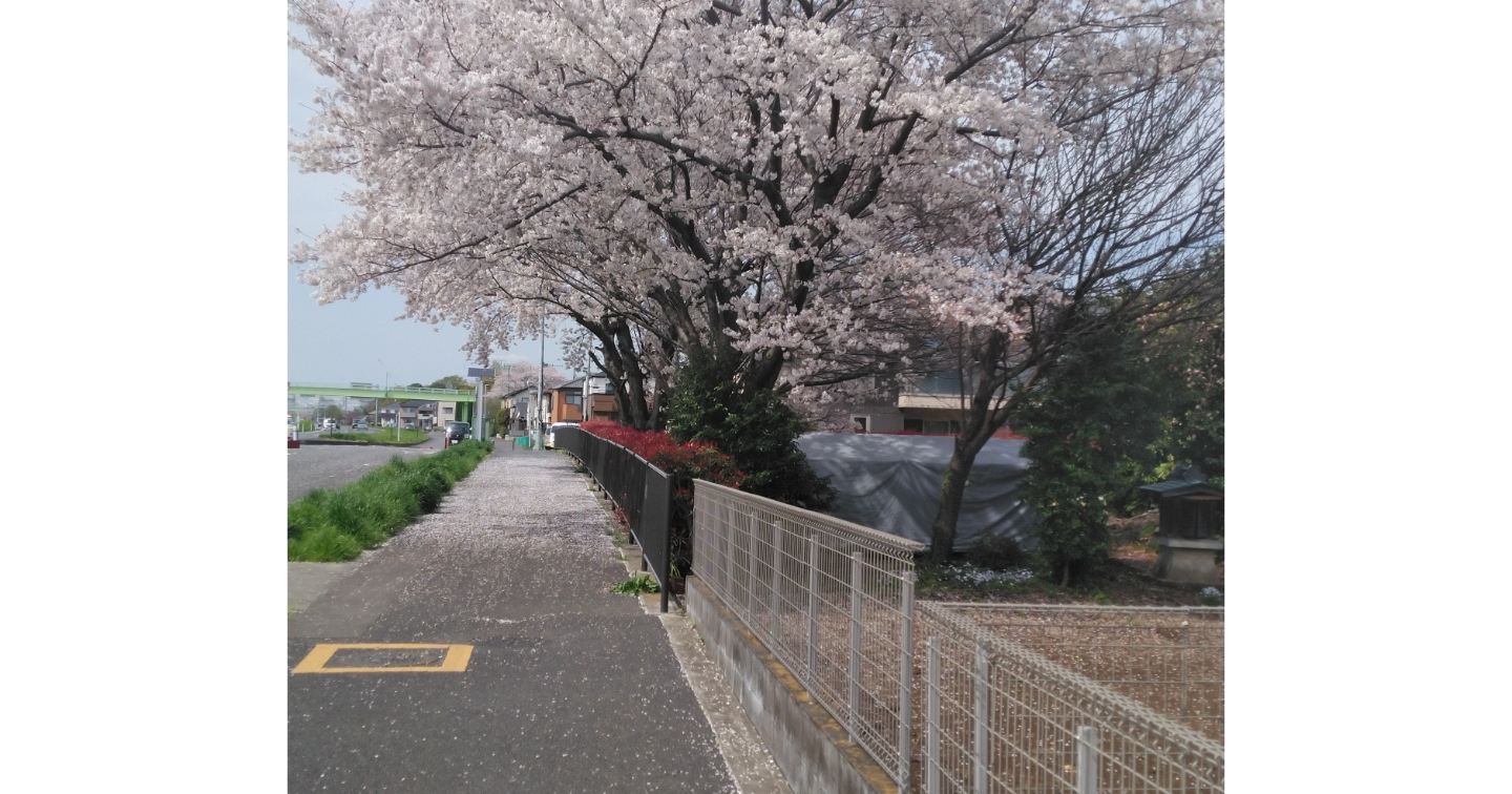 「生・欲・愛・死」の最前線で30年。1,0000人の本性を見た私が辿り着いた、折れない心の作り方