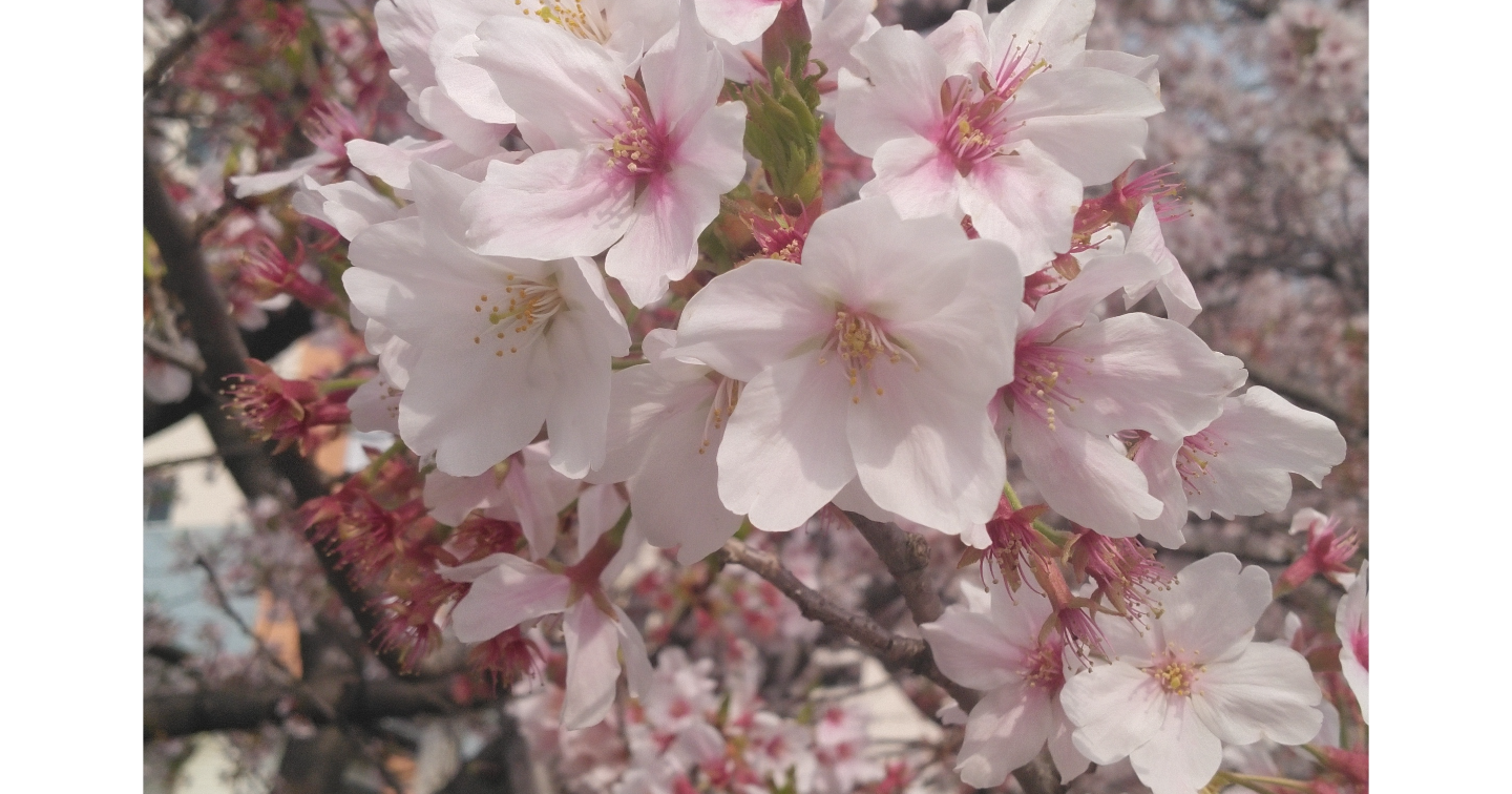さまざまな生と死。そして愛の場面に立ち会ってわかった幸せに正解なんて一つもないということ
