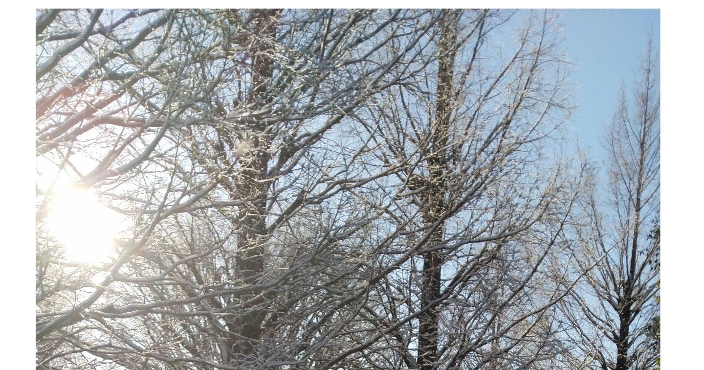 【完全版】無宗教葬・お別れ会 司会進行台本テンプレート～そのまま読める魔法のフレーズ集～