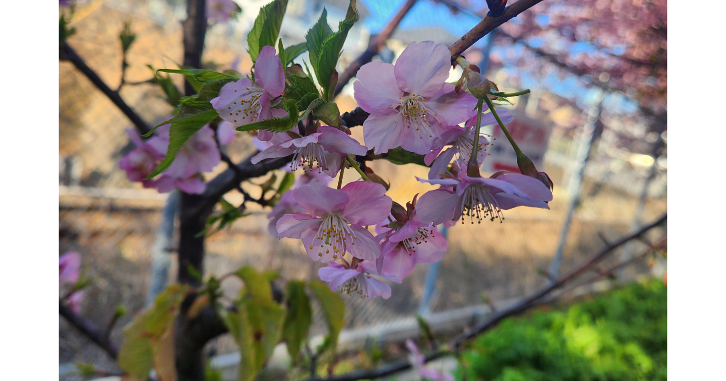 元No.1キャバ嬢、婚活葬儀司会者、そして14歳年下の夫を持つ私が贈る、自信のないあなたへ