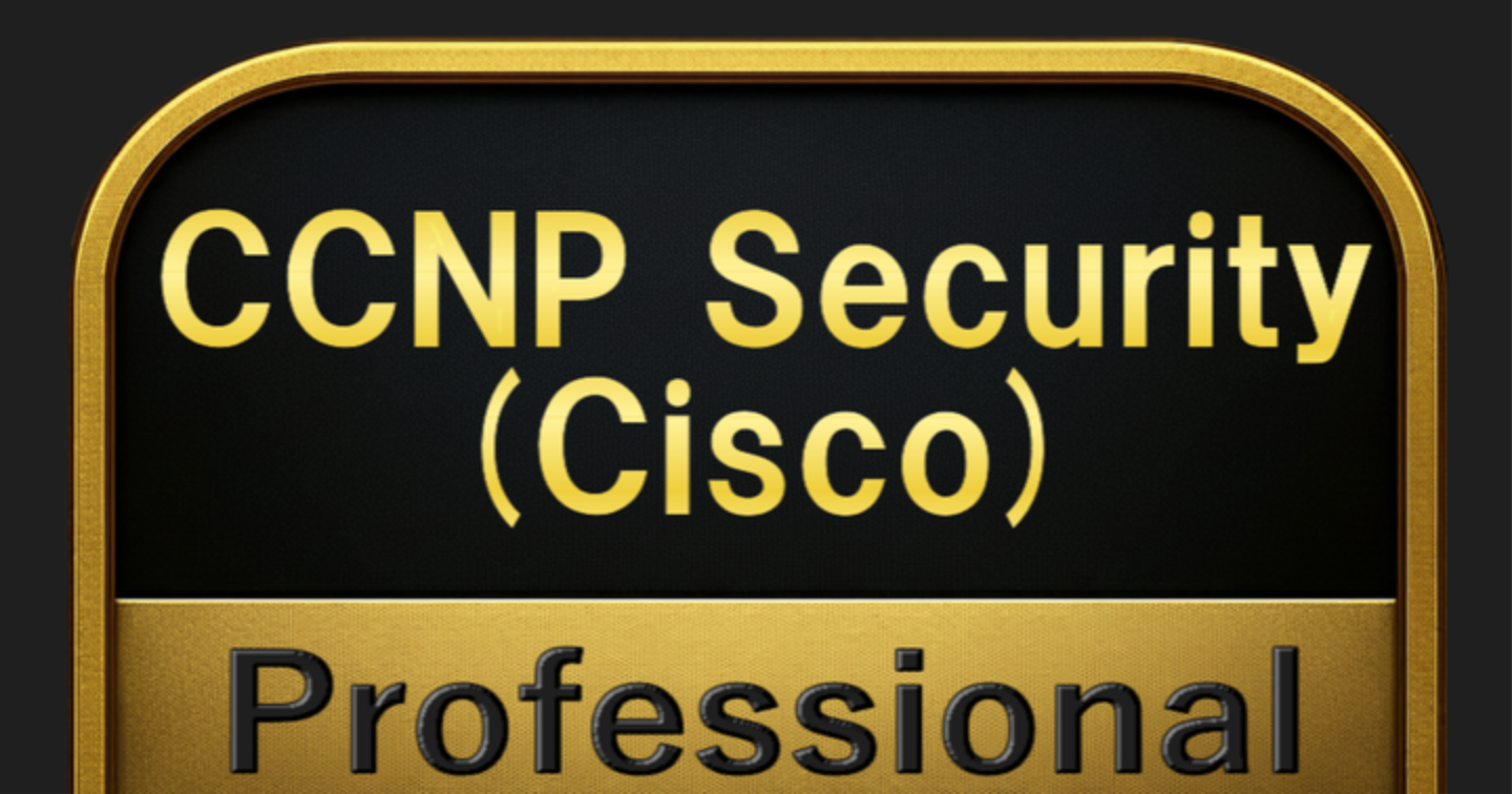 【600問】CCNP Security (Cisco) Professional(問題集＆用語集＆解説) 解く問クイック