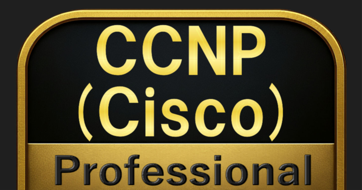【600問】CCNP (Cisco) Professional(問題集＆用語集＆解説) 解く問クイック