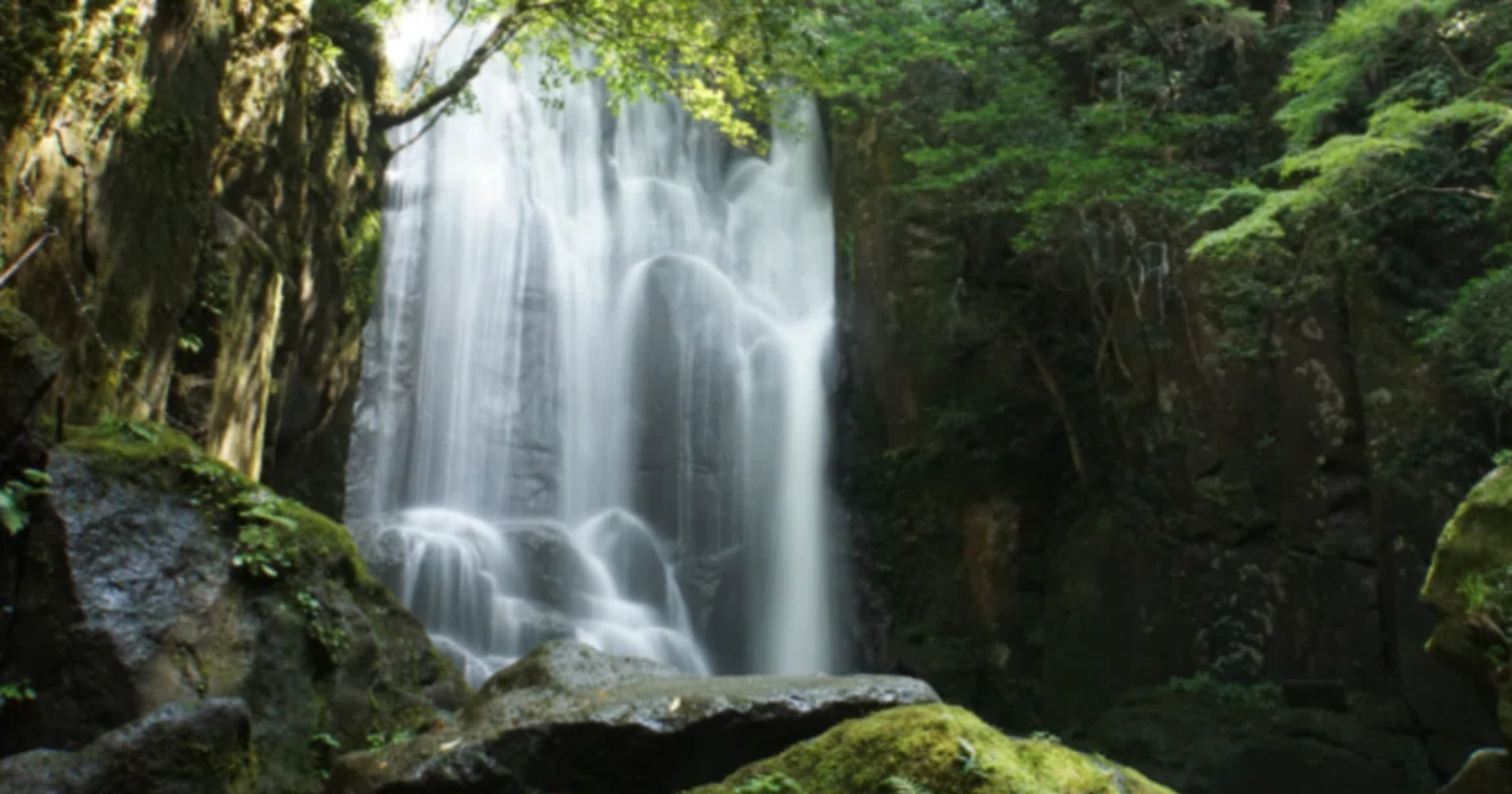 営業成績no.1の営業マンになる方法