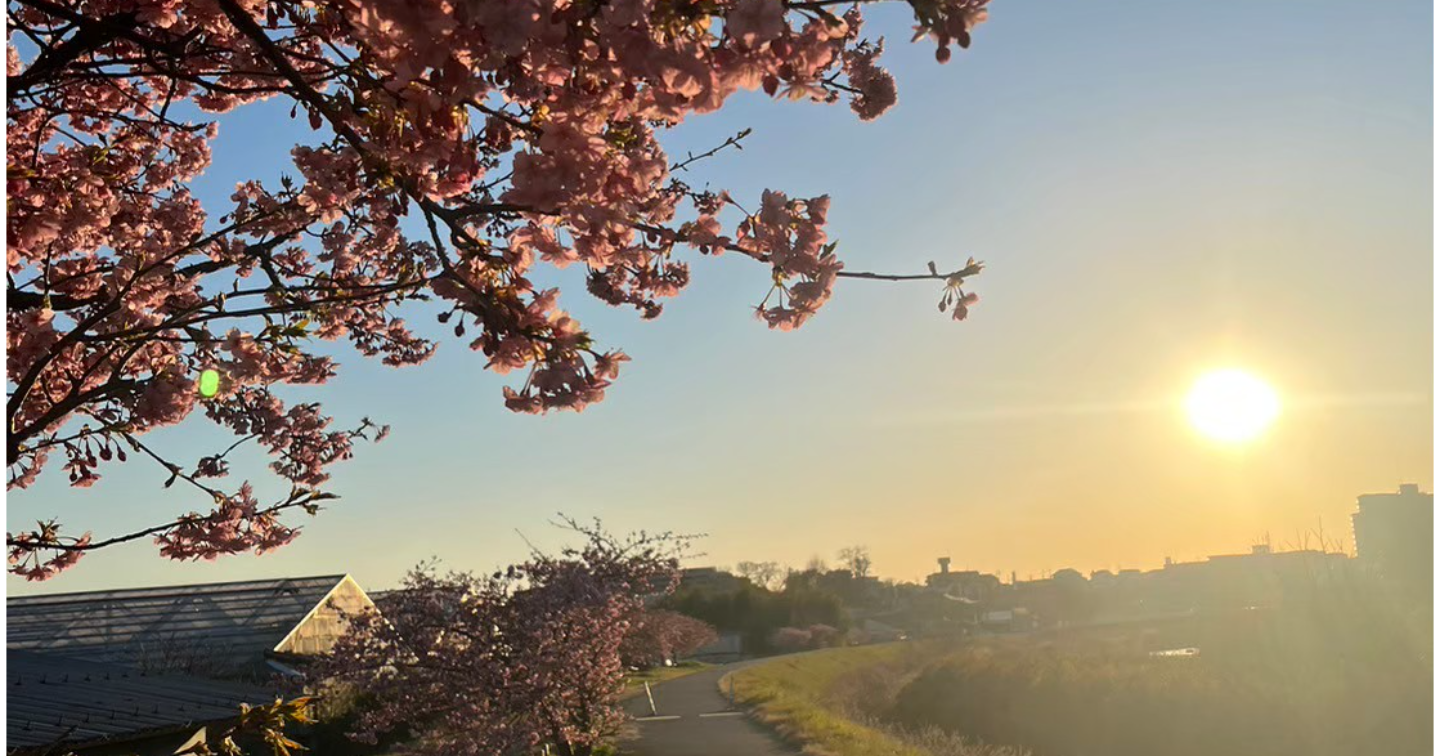 婚活で“選ばれる人”は、話がうまい人じゃない。元No.1キャバ嬢、クラブ経験・現役葬儀司会者が教える「信頼が高まる話し方」のすべて