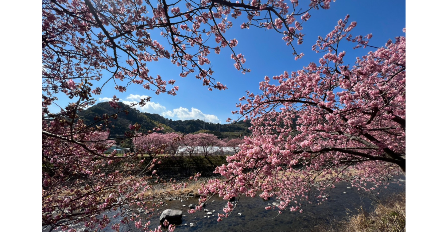 元No.1ホステスと婚活現場で学んだ“選ばれる人”だけが書ける自己紹