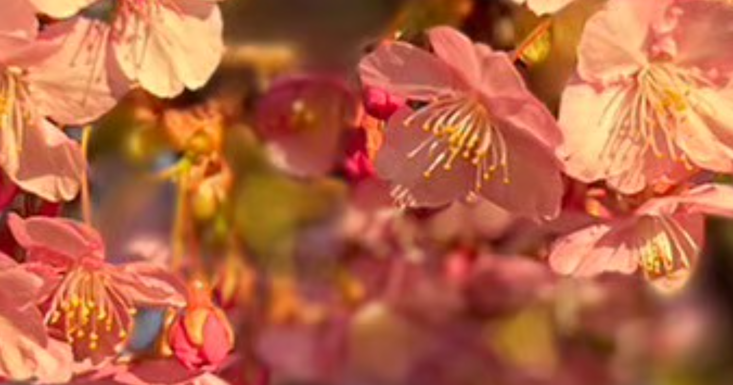 これから始める初心者へAIとスマホだけで月10万円！魔法の「自動販売機」の作り方