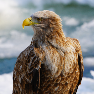 人生は短く世界はあまりにも広い