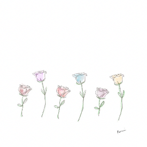 acco_h924