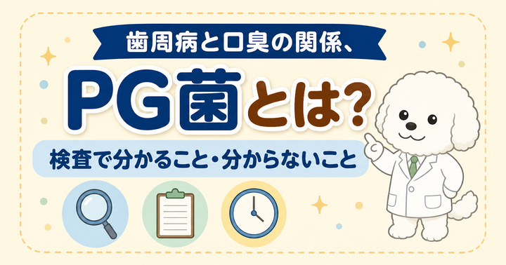 PG菌とは？歯周病と口臭の関係、検査で分かること・分からないこと｜大阪・羽曳野の【加藤総合歯科・矯正歯科】／大阪・梅田の【えみは総合歯科】
