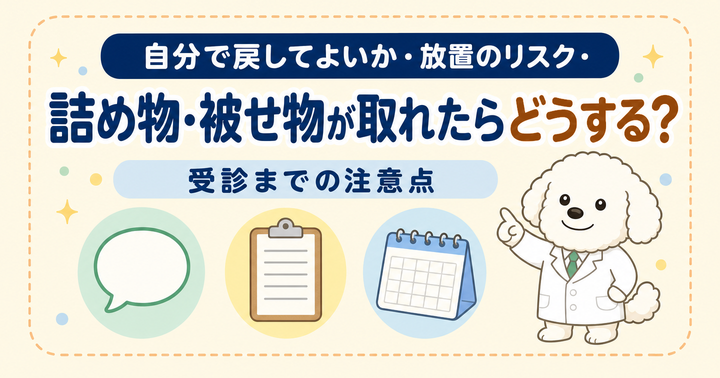 詰め物・被せ物が取れたら？自分で戻してよいか・受診までの注意点｜大阪・羽曳野の【加藤総合歯科・矯正歯科】／大阪・梅田の【えみは総合歯科】