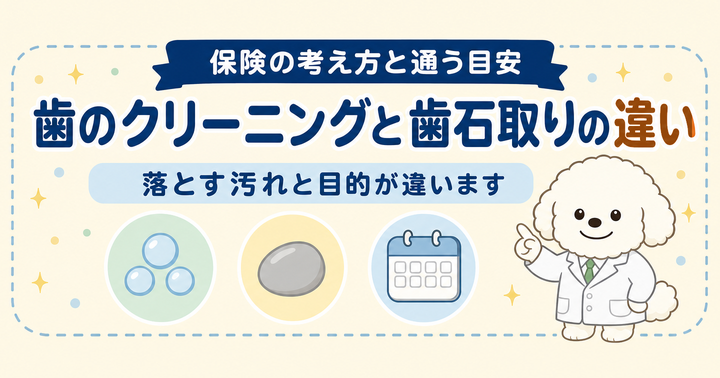 歯のクリーニングと歯石取りの違いとは？保険の考え方と通う目安｜大阪・羽曳野の【加藤総合歯科・矯正歯科】／大阪・梅田の【えみは総合歯科】