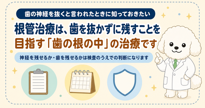 根管治療とは？歯の神経を抜くと言われたときの目的・流れ・回数｜大阪・羽曳野の【加藤総合歯科・矯正歯科】／大阪・梅田の【えみは総合歯科】