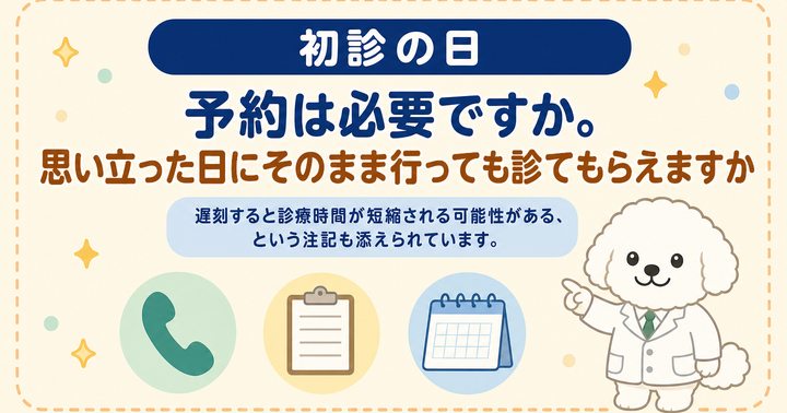 10年ぶりの歯医者、初診では何をする？流れと持ち物｜大阪・羽曳野の【加藤総合歯科・矯正歯科】／大阪・梅田の【えみは総合歯科】