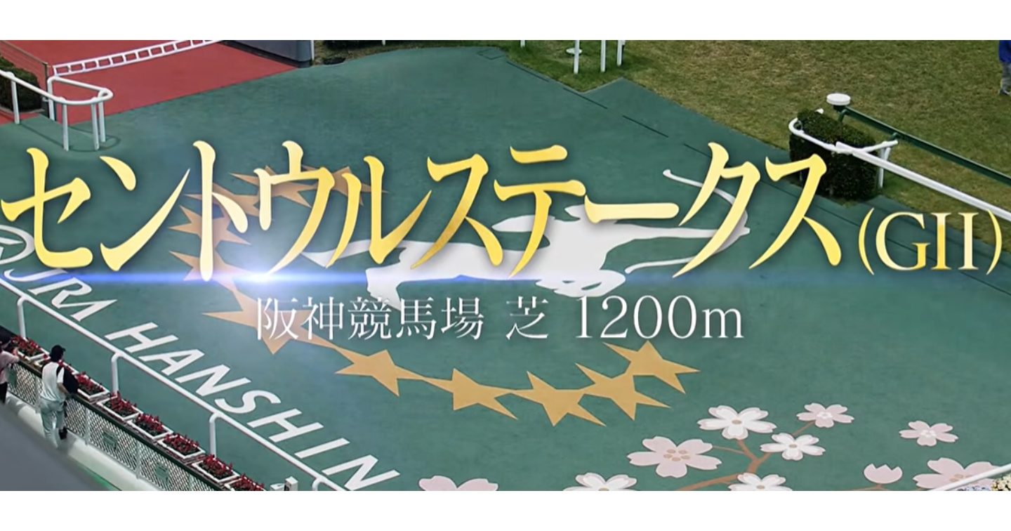 秋競馬20260906