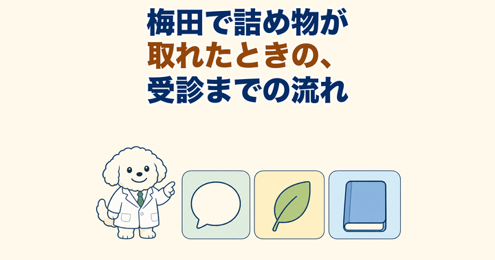 詰め物・被せ物が取れたときの応急対応｜自分で戻さない・捨てない｜大阪・羽曳野の【加藤総合歯科・矯正歯科】／大阪・梅田の【えみは総合歯科】