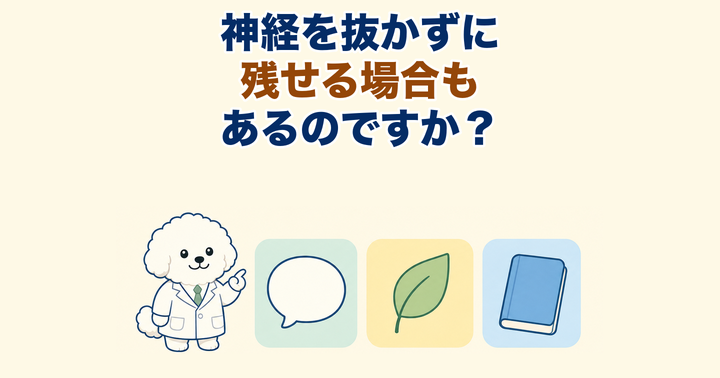 歯の神経を抜くと言われたら？抜く前に確かめたいこと｜大阪・羽曳野の【加藤総合歯科・矯正歯科】／大阪・梅田の【えみは総合歯科】