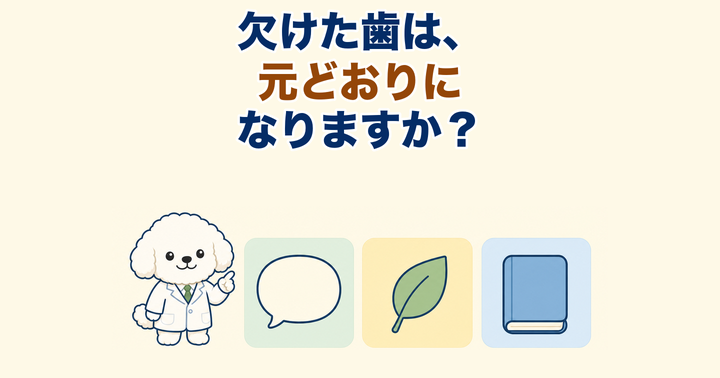 歯が欠けた・割れたときはどうする？応急の対処と受診の目安｜大阪・羽曳野の【加藤総合歯科・矯正歯科】／大阪・梅田の【えみは総合歯科】